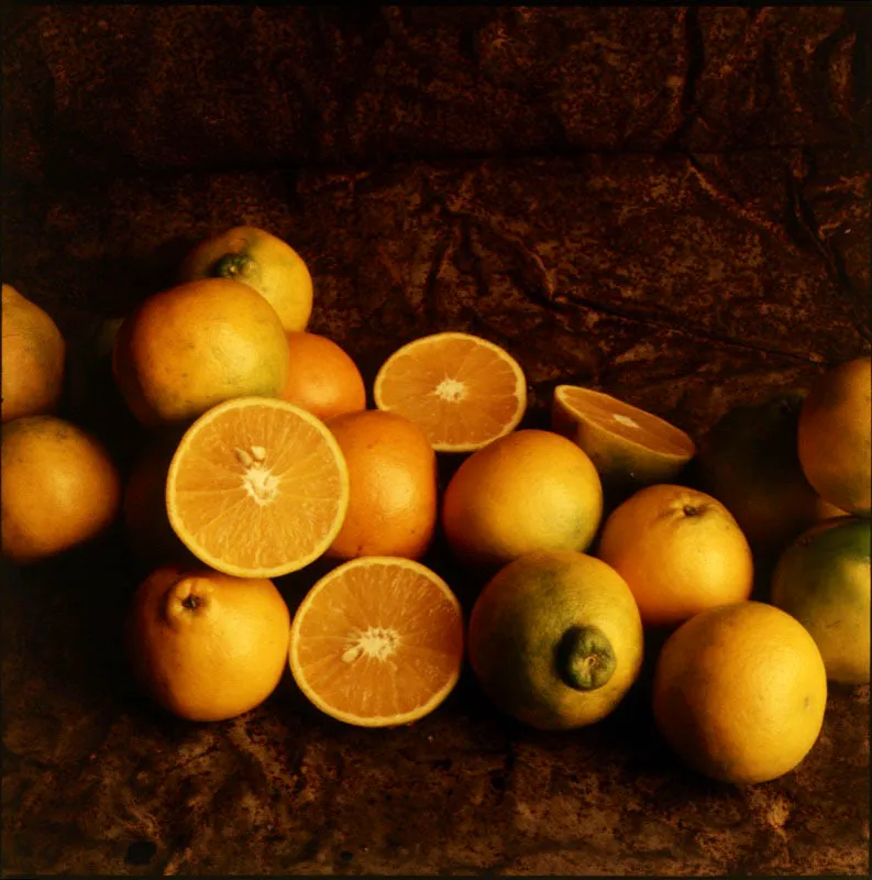 Naranja dulce. Citrus aurantium L.
