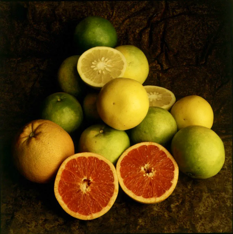 Toronja. Citrus paradisii Macfadyen.