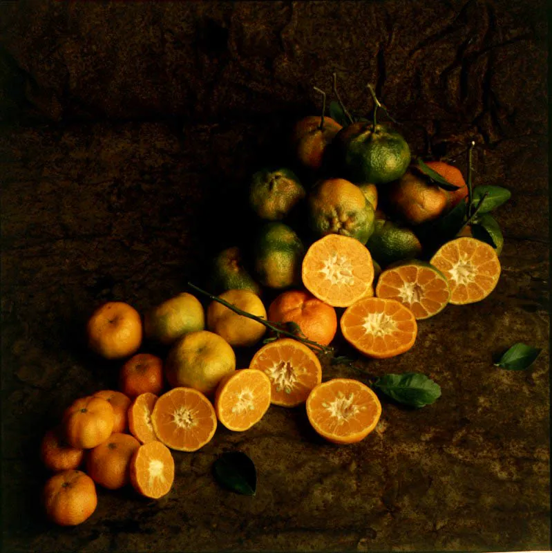 Mandarina. Citrus reticulata Blanco.
