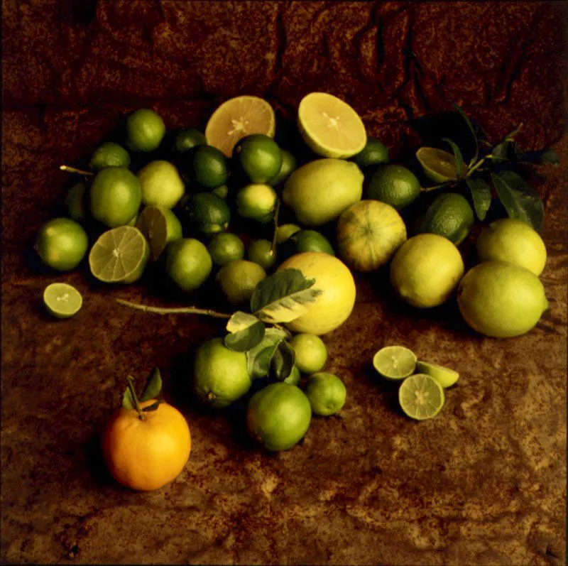 Limón. Citrus aurantiifolia (Chr.) Swingle.