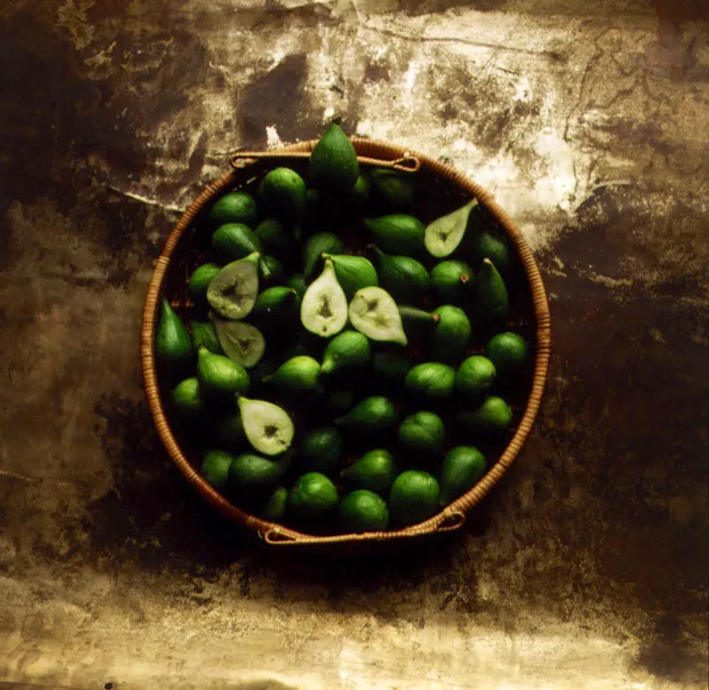 Breva. Ficus carica L.