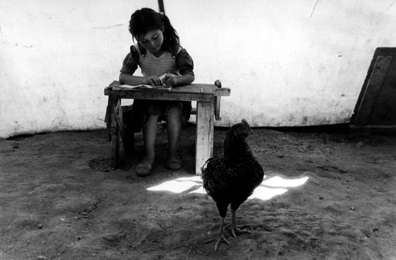 Ellen Tolmie