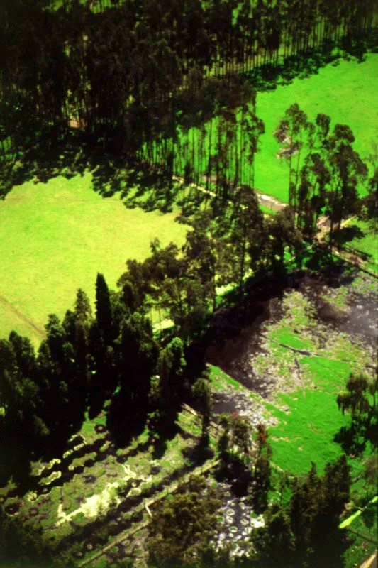 Hacienda ganadera cerca de Madrid. El actual municipio de Madrid se fund en 1563 por el encomendero Alonso Daz, con el nombre de Serrezuela, el que conserv hasta 1785, cuando le fue cambiado por el de Madrid, en homenaje al literato Pedro Fernndez Madrid. Este lugar ofrece como atractivos tursticos un puente colonial sobre el ro Serrezuela, construido por el ingeniero militar Domingo Esquiaqui en 1782, y numerosas haciendas que rodean el rea urbana del municipio. 