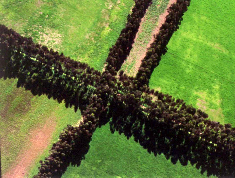 Cercas vivas de eucaliptos en los alrededores de Mosquera. El municipio de Mosquera fue fundado en 1861, y su nombre es un homenaje al entonces Presidente de los Estados Unidos de Nueva Granada, general Tomás Cipriano de Mosquera. Ubicado en el sitio denominado Cuatro Esquinas, el municipio fue sede de un antiguo asentamiento indígena. Entre los atractivos turísticos de Mosquera hay que destacar la laguna natural de La Herrera, que da nacimiento al río Balsillas.