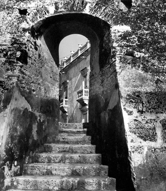 La muralla, entrada amable. Hernán Díaz