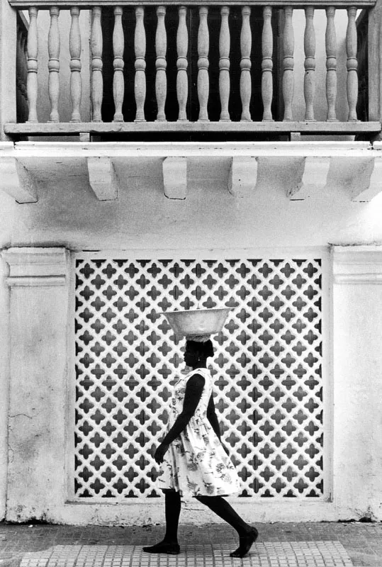 Ventana de la Calle de las Damas. Hernán Díaz