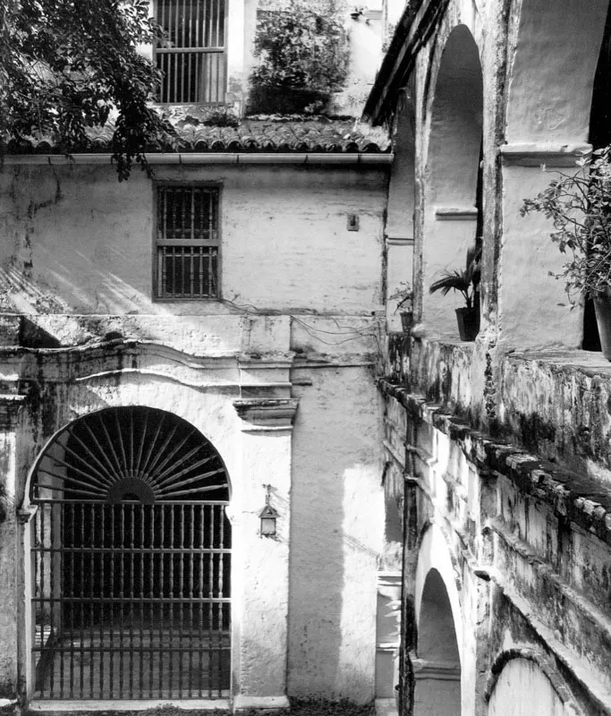 Puerta falsa del templo de San Pedro Claver. Hernn Daz