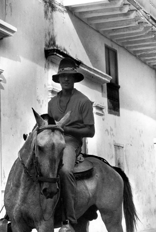 El jinete de la Candelaria. Hernán Díaz