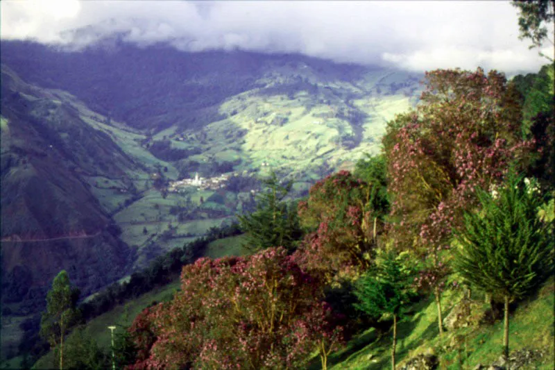 Cerrito, Santander.  