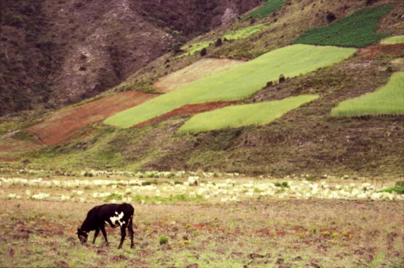 Pramo de Gina, Boyac. 