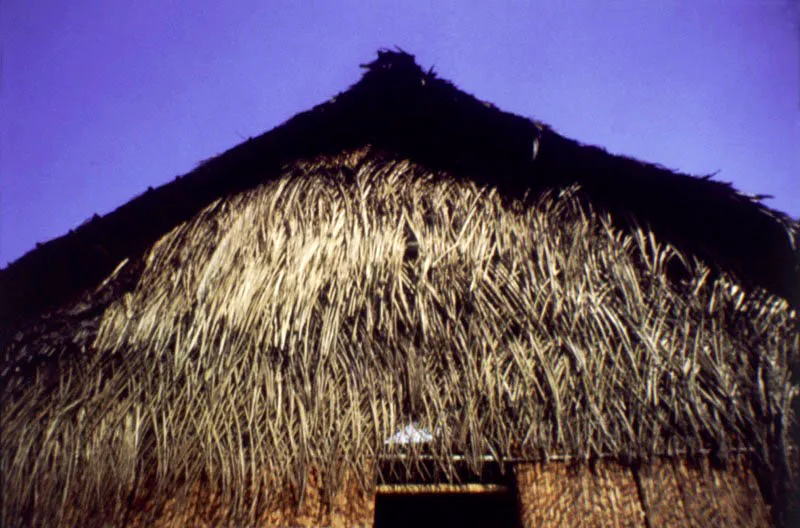Río Apaporis, Amazonas.