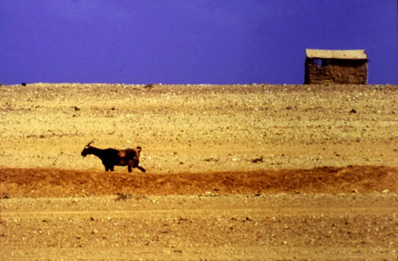 Bahía Hondita, Guajira.
