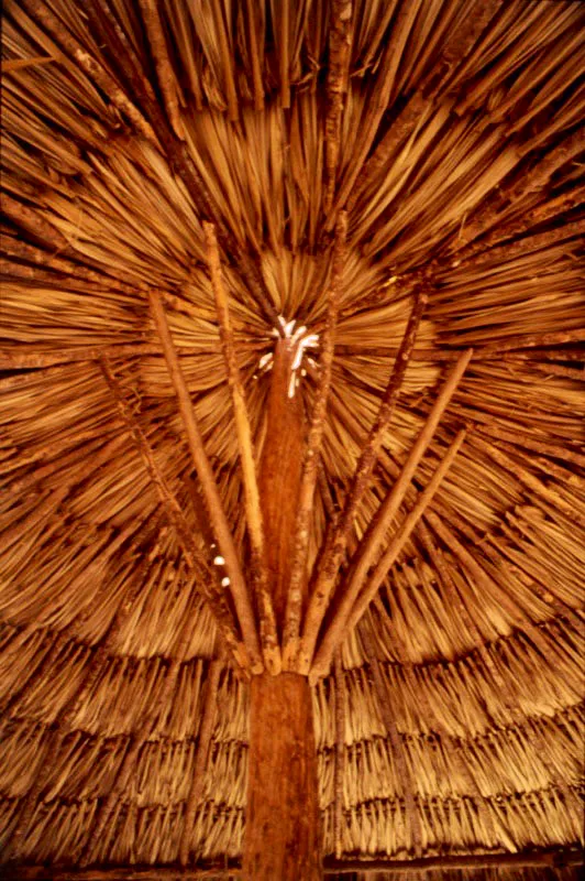 Guajira.