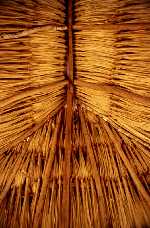 Guajira.