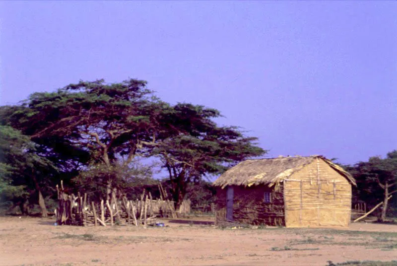 Guajira.