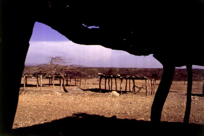 Guajira.