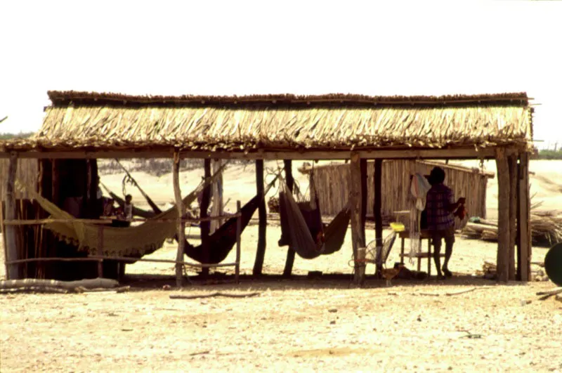 Guajira.