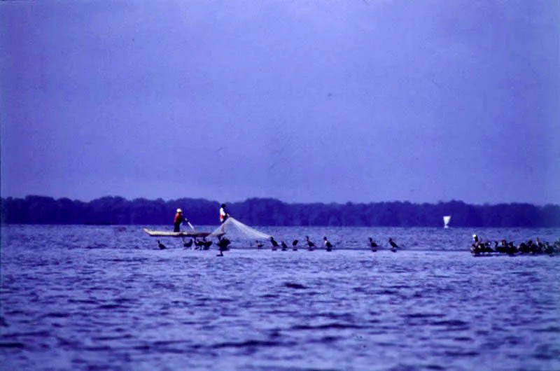 Ciénaga Grande, Magdalena.