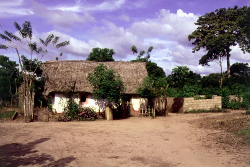 Tierra Firme. Bolívar.