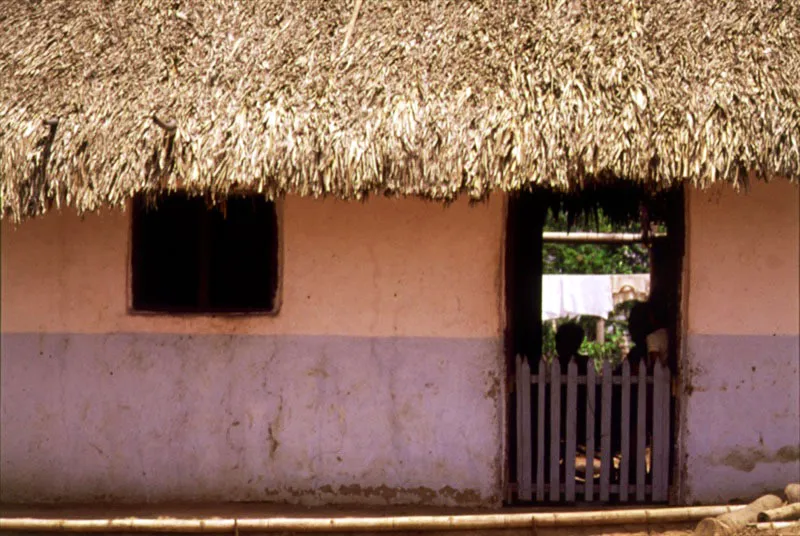 Berruga, Sucre.