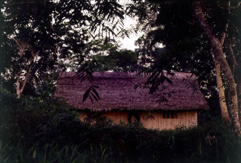 Río Orinoco, Vichada.