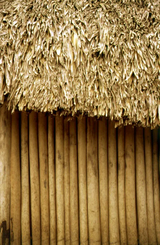 Camarones, Guajira.