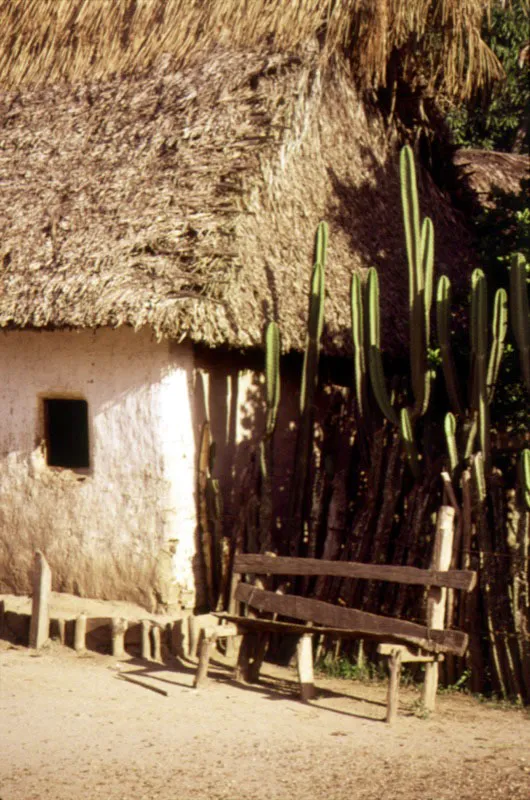 La Rinconada, Bolívar.