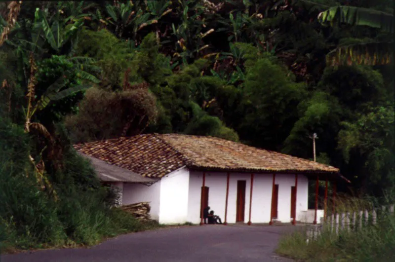 Palestina, Caldas.