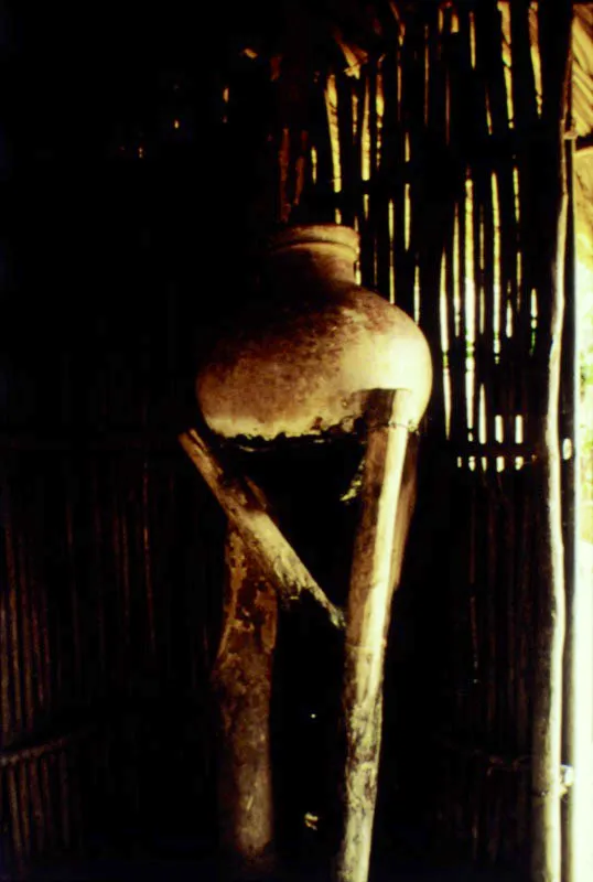 Pijao, Quindío.