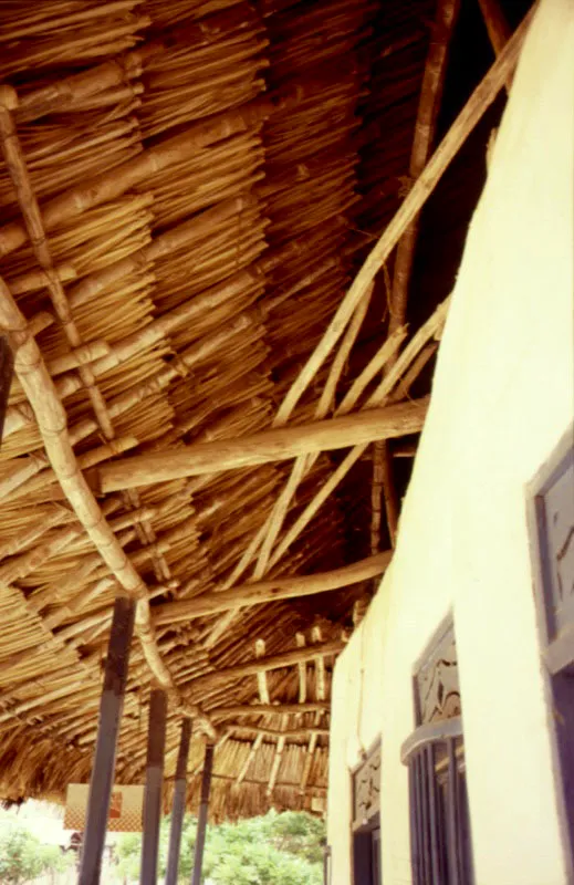 Río Mesay, Guaviare.