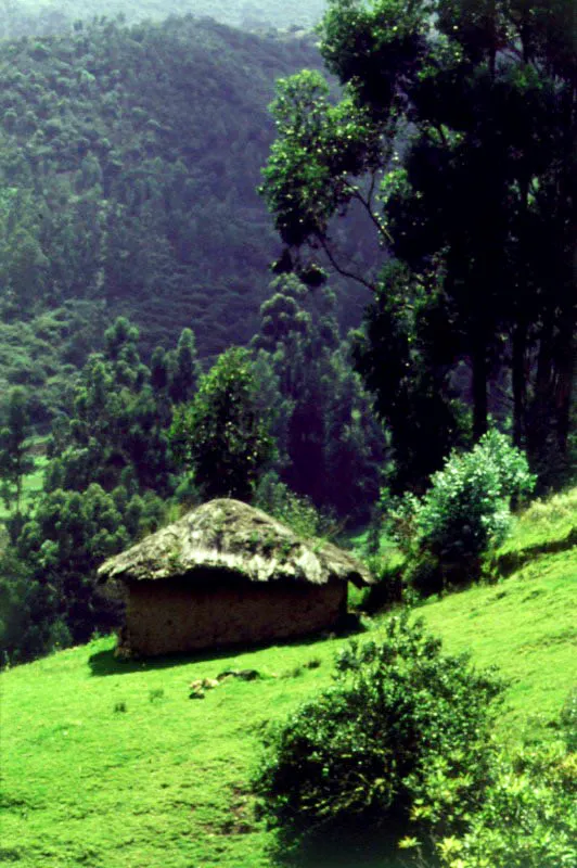 Sogamoso, Boyacá.