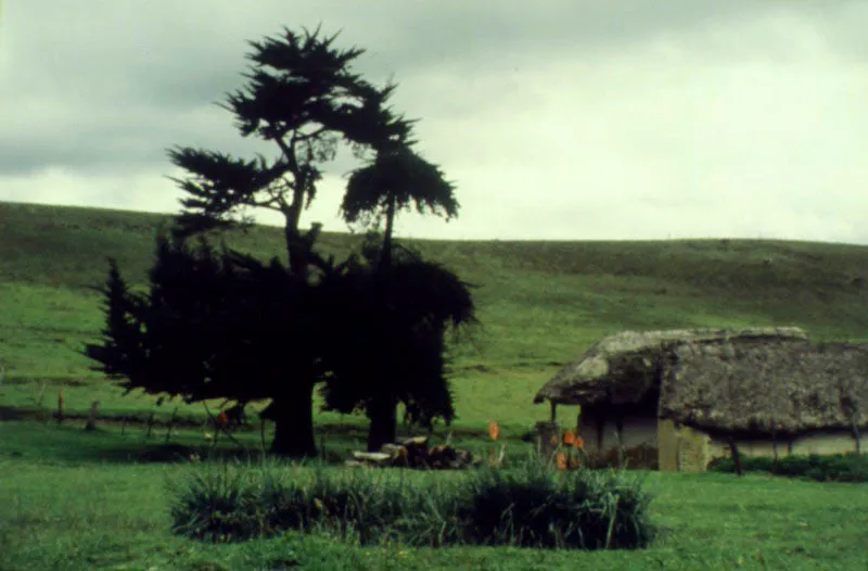 Villapinzón, Cundinamarca.
