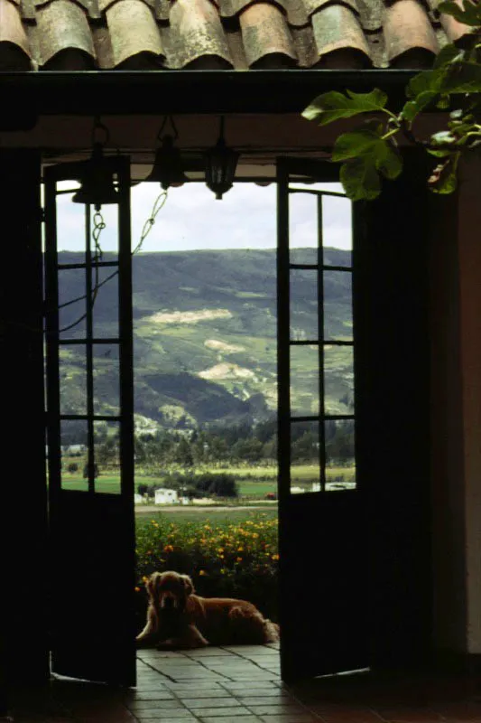 Como
se acostumbraba
en las casas cundinamarquesas,
las habitaciones carecían originalmente de ventanas propiamente dichas, teniendo vanos únicos para puertas-ventanas. Uno de estos vanos obra como relación original con la vista.
