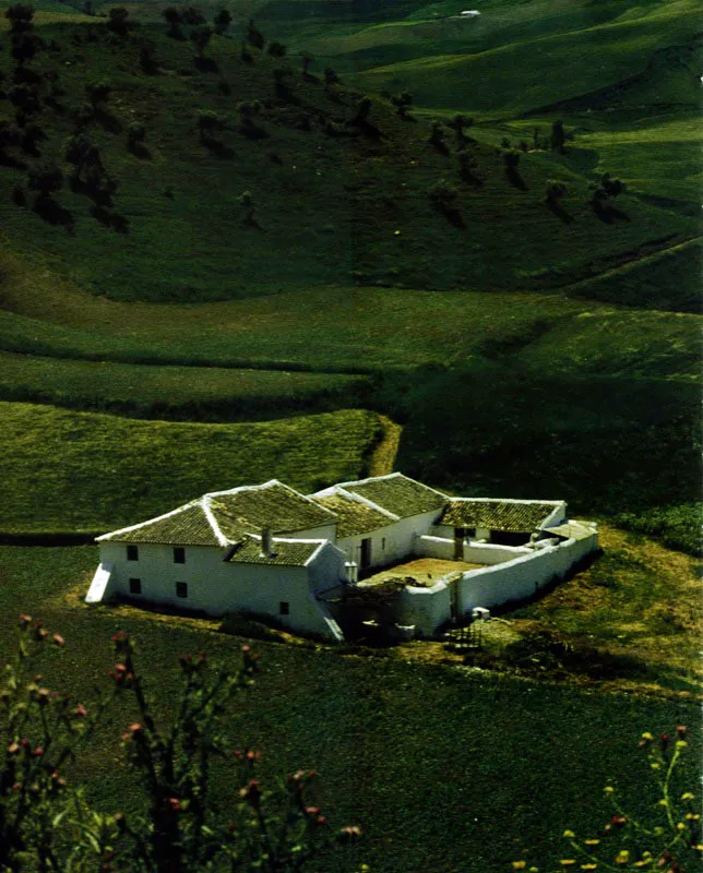 Finca agrícola en los alrededores de Olvera, provincia de Cádiz, Andalucía. “No es Africa la que comienza en los Pirineos. Es América la que comienza en La Mancha”.