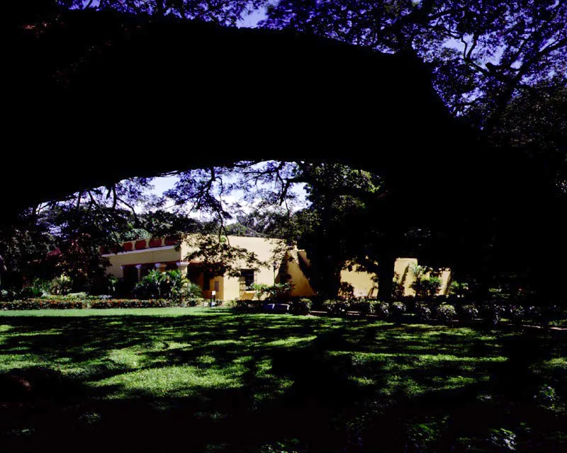 Casa de San Pedro Alejandrino, Santa Marta, Magdalena.
El caso de San Pedro Alejandrino es único en Colombia por razones extra-arquitectónicas. La extensa hacienda de trapiche y su modesta casa habían llegado varias décadas antes a su máximo desarrollo cuando el Libertador Simón Bolívar muere en ella en 1830.
Acto seguido se inicia la desmembración
y progresiva destrucción de la
sede de la hacienda, conservándose en un estado razonable solamente el tramo
de la casa donde se localiza la alcoba mortuoria del Libertador. A partir
del final del siglo
XIX se monumentaliza progresivamente el lugar, comenzando por el entorno de la casa misma, surgiendo luego el “Altar de la Patria”, un gigantesco “Patio de Armas” y por último un inverosímil museo de arte moderno, todos los cuales son episodios inconexos con la casa de hacienda colonial. La presencia de Bolívar salvó la casa de una eventual desaparición, pero la nueva República creó en torno a aquélla un ambiente escandalosamente contrastante con la austeridad que enmarcó las últimas horas del Libertador,
y le otorgó unos significados que
poco o nada tienen que ver con sus calidades o méritos arquitectónicos.
Los cuidados jardines
y espléndida vegetación tropical que hoy conforman un escenario como
de elegante pecera
en torno a la casa
de los señores en
San Pedro pertenecen a una época y un mundo muy distantes de la informalidad ambiental que debió tener aquélla en el siglo XVIII.