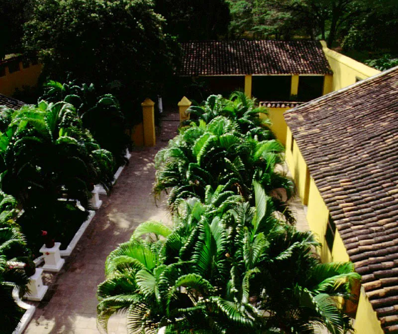 Casa de San Pedro Alejandrino, Santa Marta, Magdalena.
El caso de San Pedro Alejandrino es único en Colombia por razones extra-arquitectónicas. La extensa hacienda de trapiche y su modesta casa habían llegado varias décadas antes a su máximo desarrollo cuando el Libertador Simón Bolívar muere en ella en 1830.
Acto seguido se inicia la desmembración
y progresiva destrucción de la
sede de la hacienda, conservándose en un estado razonable solamente el tramo
de la casa donde se localiza la alcoba mortuoria del Libertador. A partir
del final del siglo
XIX se monumentaliza progresivamente el lugar, comenzando por el entorno de la casa misma, surgiendo luego el “Altar de la Patria”, un gigantesco “Patio de Armas” y por último un inverosímil museo de arte moderno, todos los cuales son episodios inconexos con la casa de hacienda colonial. La presencia de Bolívar salvó la casa de una eventual desaparición, pero la nueva República creó en torno a aquélla un ambiente escandalosamente contrastante con la austeridad que enmarcó las últimas horas del Libertador,
y le otorgó unos significados que
poco o nada tienen que ver con sus calidades o méritos arquitectónicos.
Los cuidados jardines
y espléndida vegetación tropical que hoy conforman un escenario como
de elegante pecera
en torno a la casa
de los señores en
San Pedro pertenecen a una época y un mundo muy distantes de la informalidad ambiental que debió tener aquélla en el siglo XVIII.