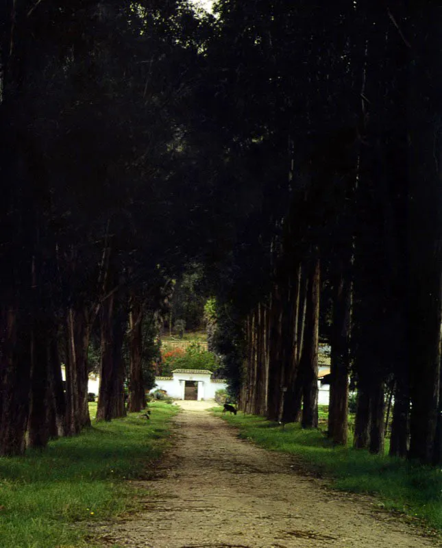 La Iraca, Tibasosa, Boyacá.