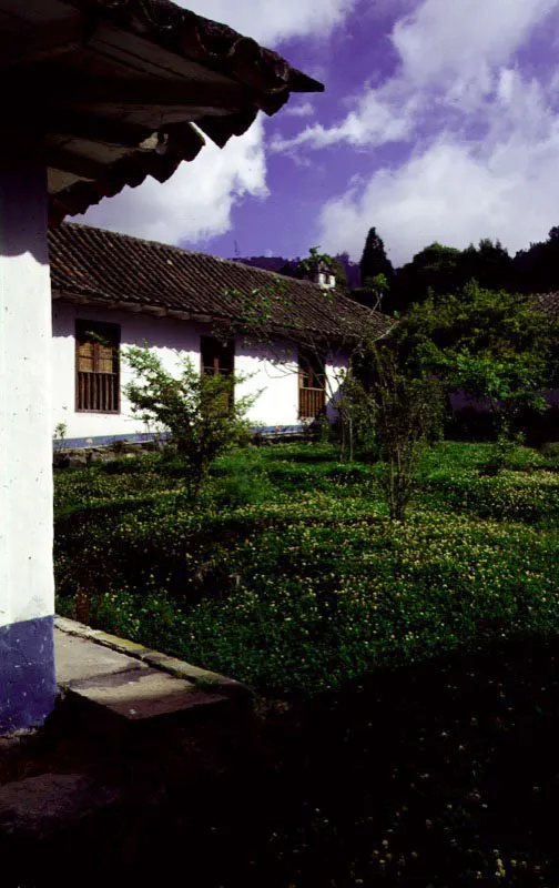 El Charquito, Cundinamarca. Construida hacia el final del siglo XVIII a raíz de la subdivisión de la hacienda de Tequendama, conserva ejemplarmente su discreto y evocador patio principal, cuyo ambiente incluye elementos originales tales como los apoyos y zócalos, además de la estructura en poste y dintel de madera de sus galerías perimetrales. Por alguna buena fortuna, Cincha no fue objeto, como muchas otras casas de hacienda de la sabana de
Bogotá, de una “republicanización”
o, peor aún, de alguna modernización intensa. Ningún cielo raso altera los espacios interiores ni impide apreciar las armaduras de cubierta, en una magnífica versión santafereña del “par y nudillo” andaluz.
De ahí la invaluable importancia de
Cincha como documento de historia e imagen real de una modesta casa de hacienda de los últimos tiempos de la Colonia.