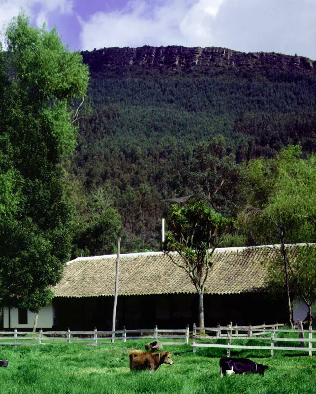 El Portezuelo, Ubaté, Cundinamarca.
La localización favorita de las casas de la región es la de “pie de cerro” o “pie de monte”, donde con más frecuencia se hallan manas de agua
o arroyos y se está parcialmente al abrigo del viento vesperal o el frío del amanecer. En Boyacá y el norte de Cundinamarca es común la casa de planta compacta, con un rancho o pabellón aparte, pero adyacente, para el mayordomo y su familia, depósitos y caballerizas.
El Portezuelo parece haber sido conformada al terminar el siglo XVIII. La casa en su forma actual puede datar de la misma época.