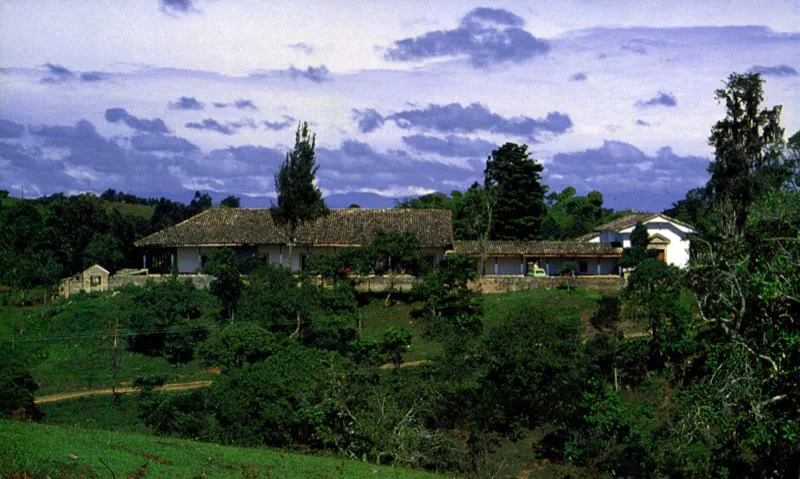 , Casa de
Antón Moreno,
Popayán, Cauca.
La más bella e inspirada relación de casa y paisaje entre las haciendas próximas a Popayán es sin duda la de Antón Moreno. La singular mezcla de dureza y suavidad de la arquitectura de la casa es la que presenta el paisaje circundante, y la una surge y depende de lo otro. Alcanzó su forma durante la última década del siglo XVIII, luego de terremotos y reformas sin cuenta, aunque la hacienda existía como “de trapiche” al final del siglo anterior, pasando luego a ser ganadería.
Antón Moreno es una síntesis de los esquemas básicos de ordenación espacial más usuales en la arquitectura de las casas de hacienda neogranadinas. Combina con elegancia un patio principal, atravesado por una rama sobre arquillos del complejo acueducto
–de raigambre islámica– de la casa, con galerías exteriores abiertas al panorama circundante. Incluye una capilla anexa ligada a la casa por el tramo que alberga las dependencias de servicios. Para estar a tono con la modestia arquitectónica de su espacio, la capilla posee un singular retablo pintado en falso relieve sobre lienzo.
