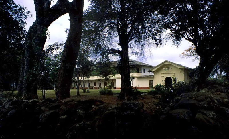 Calibío. Popayán, Cauca.
No sería raro que las mismas manos hubiesen construido, entre los siglos XVII y XVIII, pero ante todo durante este último, la casa de Antón Moreno y la de Calibío, a uno y otro lado de las afueras de Popayán. Calibío es casa “alta y baja” propia de una llanura donde hay que otear el horizonte desde más arriba, mientras Antón Moreno es casa de colina o altozano, ya situada en lo más alto. Aprovechando mayores recursos económicos, Calibío asumió proporciones más amplias y elegantes que las de sus congéneres payanesas, y cierto tono de gran casa de ciudad, superponiendo un
piso alto a una planta
baja quizá más arquitecturada pero menos íntima y evocadora que la de Antón Moreno. Calibío representa el lujo constructivo y el más refinado nivel tecnológico entre las casas de hacienda caucanas.
La celebridad de Calibío como escenario de historia política y militar durante el siglo XIX ha opacado, en cierta medida, su importancia arquitectónica y la destacada calidad tecnológica de su construcción. Calibío es un ejemplo arquetípico de un género constructivo que fue dejando atrás su propio pasado andaluz o manchego para asumir una nueva identidad en la tierra neogranadina. Es cierto que sus tejas son de tipo árabe, como
lo son sus armaduras de cubierta, pero
están colocadas sobre soportes de cañas entrelazadas a la manera indígena.
Las maderas, los adobes, los ladrillos, la cal, la arcilla, las cañas son de la región, trabajadas y unidas entre sí a la manera regional. En cierto modo real, la casa salió del lugar donde fue levantada, así haya
sido pensado su carácter y organización espacial muchos siglos antes en remotas tierras de otros continentes.