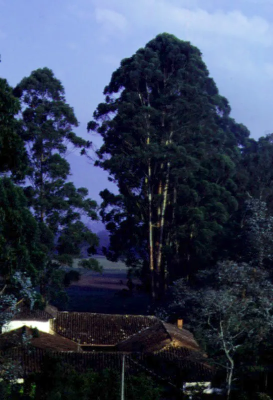 El Puesto, La Ceja, Antioquia. 
Construida a mediados del siglo XVIII por el Alfrez Real Felipe Villegas y Crdoba, la casa ofrece rasgos volumtricos y tecnolgicos presentes tambin en las casas de la misma poca en el Cauca y Valle del Cauca, quitndoles validez a las tipologas que asocian determinadas formas arquitectnicas con algunas regiones neogranadinas en particular. Ntese el realce volumtrico en el segundo piso a manera de mirador, provisto de un balcn en voladizo (y no rehundido) y la galera exterior en el piso bajo. 
Son escasas las casas de hacienda de la regin antioquea que conservan su localizacin y espacio circundante como ocurre en este caso, y que no han sido transformadas hasta perder por completo sus componentes arquitectnicos originales. La presencia de la casa de El Puesto en su paisaje es ejemplar.  