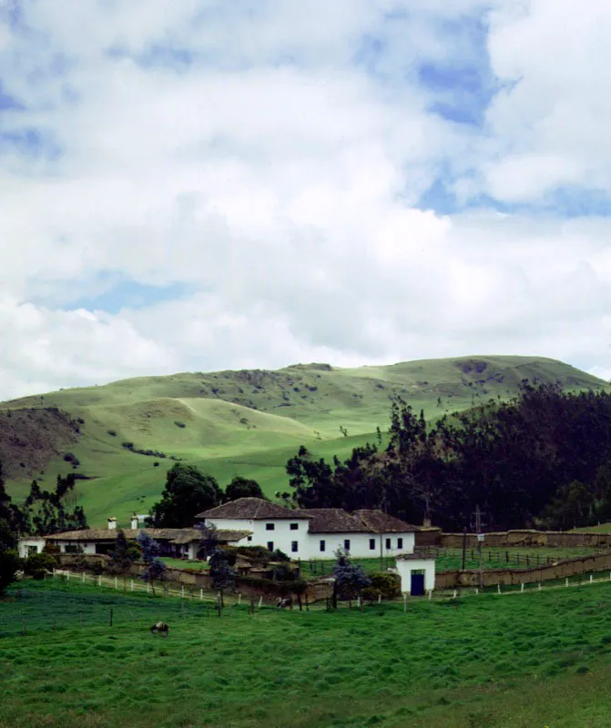 Tilatá Chocontá, Cundinamarca. Datando aparentemente
del siglo XVIII,
Tilatá presenta una atrayente volumetría que indica un crecimiento por etapas. Aunque no
han faltado las inevitables estructuras utilitarias surgidas
al lado de casi todas
las casas de hacienda cundinamarquesas, la casa conserva en gran medida su notable implantación en un territorio aún (1997) no invadido por canteras, fábricas o clubes campestres.
Más importante todavía, aún existe la envoltura espacial de muros y tapias que
es vital complemento de la casa.