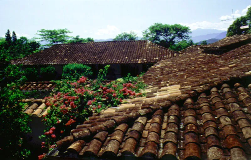 La Loma, alrededores de Santa Fe de Antioquia.
Se ilustran en estas y las siguientes páginas dos casas de la misma región e idéntico nombre. ¿Es la casa que se incrusta en el paisaje, o éste el que la invade? La casa de La Loma (nombre muy frecuente en una región tan marcadamente montañosa) data en sus tramos originales del comienzo del siglo XVIII. La exquisita integración de tejados, corredores y muros circundantes con el espacio natural en torno a éstos, es el resultado de una profunda comprensión de lo esencial del paisaje y de un prolongado y afectuoso cuidado de las formas construidas y la vegetación.
La relación expresada en estas imágenes es la de la casa y el lugar, pero también, y quizá la más importante, la del hombre y el campo.