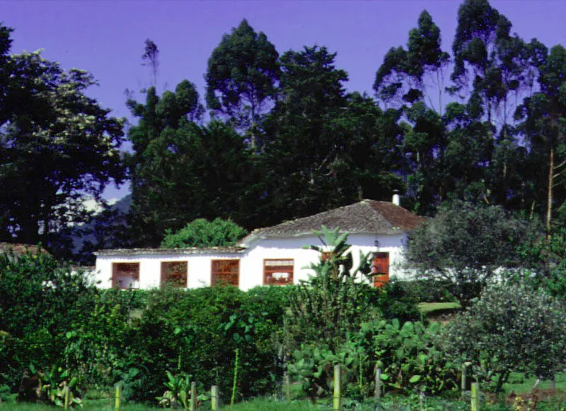 Rastrojogrande, La Virginia, Antioquia. Construida, al menos en parte, durante el siglo XVIII, la casa tuvo durante el XIX las transformaciones usuales señaladas
a propósito de
otras arquitecturas rurales en la región antioqueña, sumadas a no pocas ampliaciones de vanos y otras modernizaciones más o menos inevitables.
El frente longitudinal de la casa conserva una placentera rusticidad que, si no es original, al menos resulta muy antigua. Nótense los largos aleros y, en primer plano, un apeadero para descender del caballo o el coche. Ocasionalmente es posible observar uno de éstos en algunos cortijos andaluces donde se crían o se mantienen caballos.