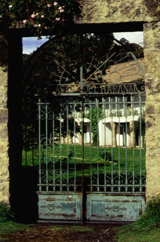 El Rabanal, Ubaté, Cundinamarca.
La transición arquitectónica de esta casa no consistió en imposiciones academizantes sino en alteraciones técnicas que trastrocaron la austera geometría de la construcción de época colonial. El volumen de la casa siguió siendo el mismo, pero los pies derechos de la galería del piso alto se multiplicaron en número y este peso adicional hizo necesario el “refuerzo” del piso bajo. Las improvisadas columnas de piedra indican una total indiferencia o ignorancia respecto del funcionamiento estructural de la antigua casa pero resultan pintorescas. La República improvisó donde la Colonia sabía exactamente lo que hacía.