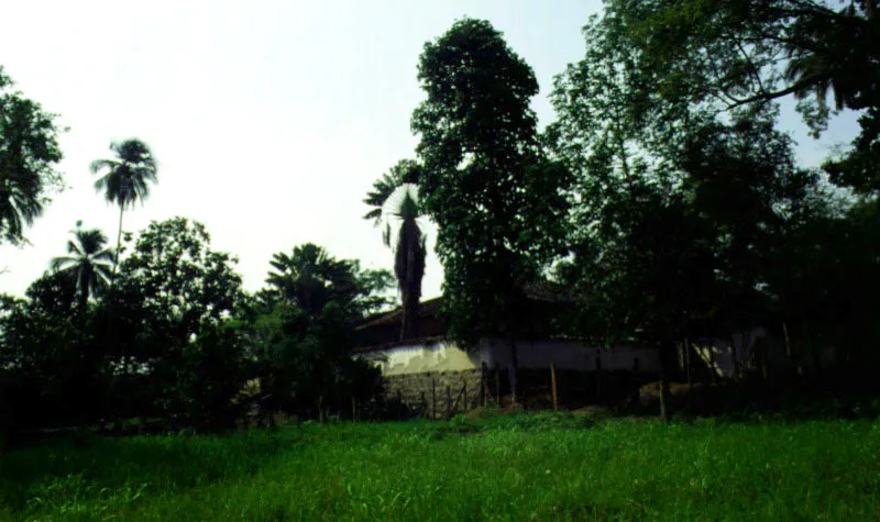 Juan Blanco, Santa Fe de Antioquia. La abundante vegetación en torno a la casa ha sido conservada como un elemento básico en la relación entre ésta y el lugar. La calidad ambiental así lograda le suma autenticidad a una y otro.