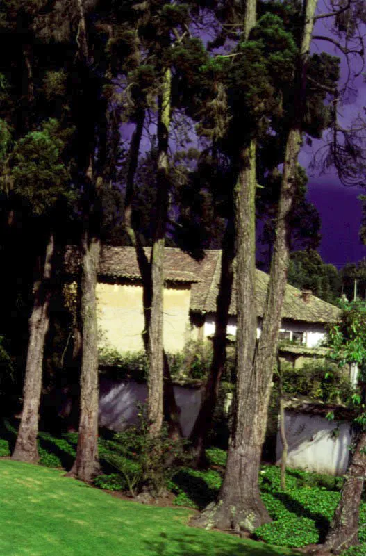 Los Arboles, Madrid, Cundinamarca.
La hacienda de este nombre se configuró al final del siglo
XVIII como parte
del proceso de fraccionamiento de las grandes propiedades en el suroccidente de la sabana de Bogotá.
La estructura de la casa y su ordenación espacial en torno a
un patio central de bellas proporciones,
de época colonial,
se incluyen en el presente capítulo debido al interesante
y acertado proceso
de republicanización integral llevado a
cabo entre las dos últimas décadas del siglo XIX y las dos primeras del XX.