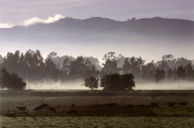 Los cerros orientales vistos desde la sabana. Hace 10 millones de años hubo el primer levantamiento de la cordillera oriental; la sabana quedó aislada de los llanos y el valle del Magdalena.