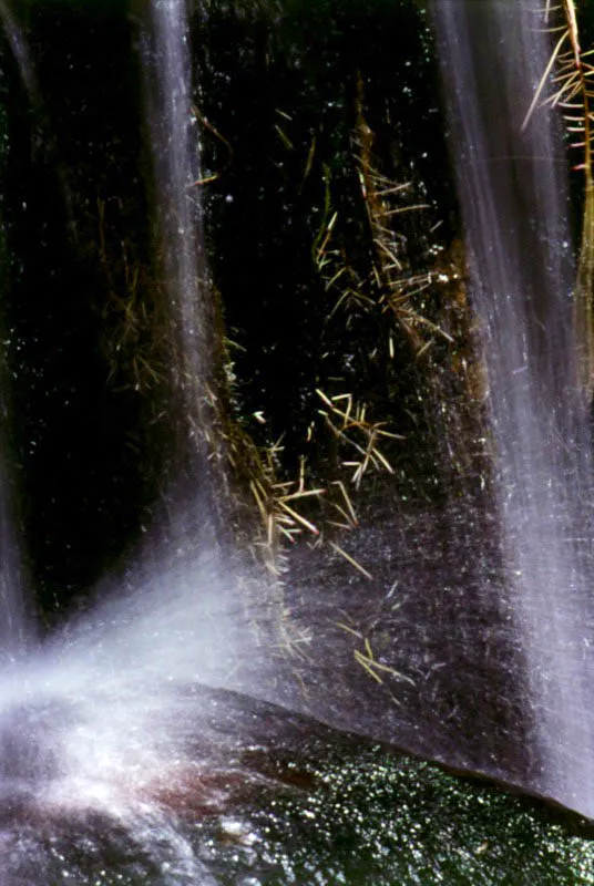 Agua viva y chispeante en la quebrada de Torca. 